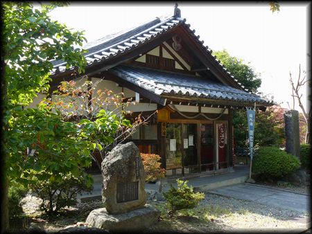 �M���̊����C