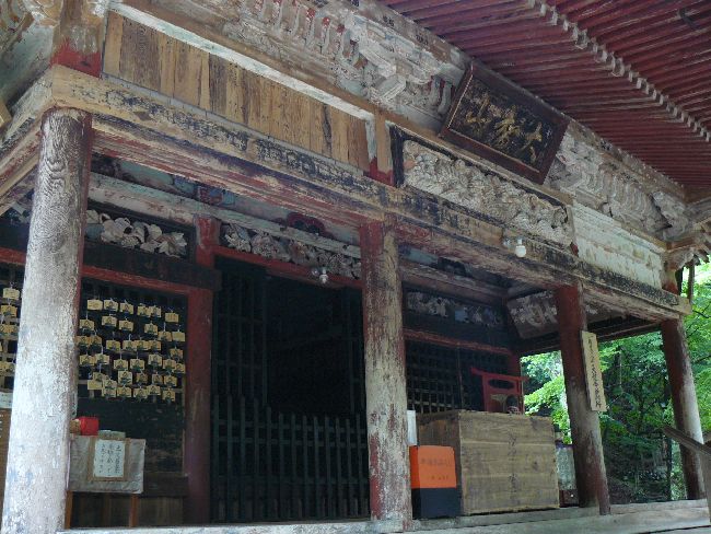 ���ꓰ�E���q