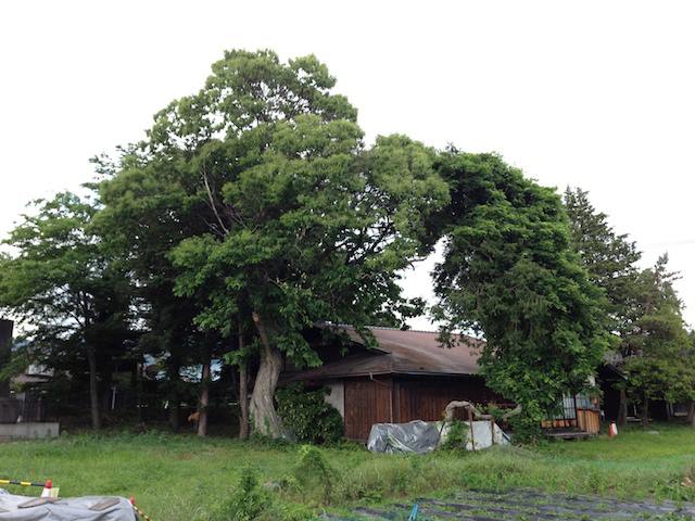 ���J�s�E���䕐�Y����