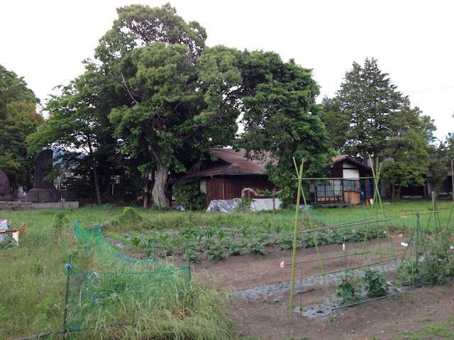 ���J�s�E���䕐�Y����