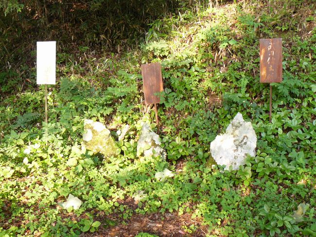 �_�{����