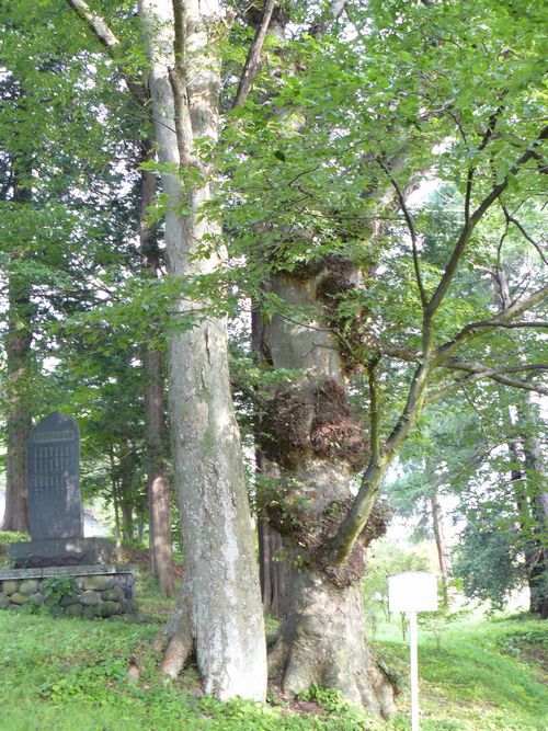 �z�K��Џ�БO�{