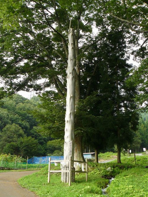 �z�K��Џ�БO�{�E��V�䒌