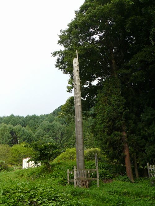 �z�K��Џ�БO�{�E�O�V�䒌