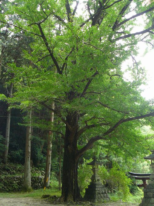 ���ؑ��E�z�K���_