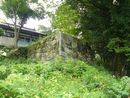 高遠藩主内藤家と縁がある高遠城石垣には苔が付き歴史が感じられます