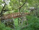 高遠藩主内藤家と縁がある高遠城本丸に掛けられた桜雲橋