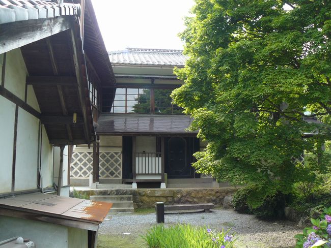 �C�쒬���Óc�萶��