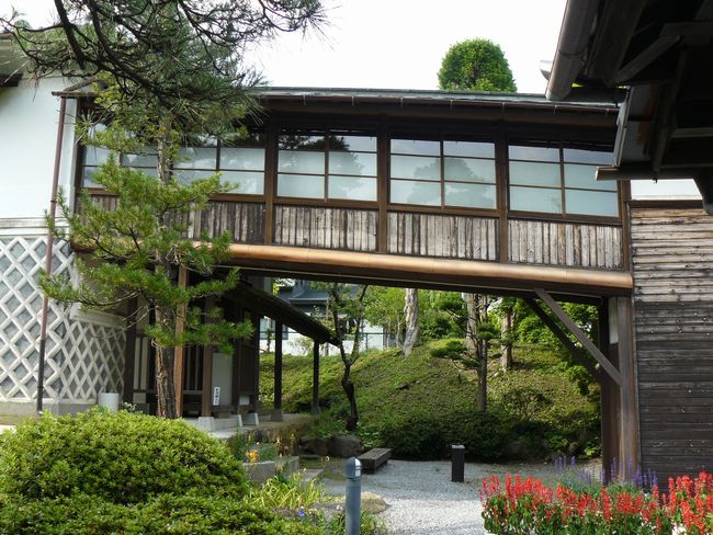 �C�쒬���Óc�萶��