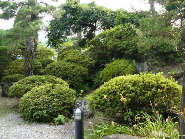 �C�쒬���Óc�萶��