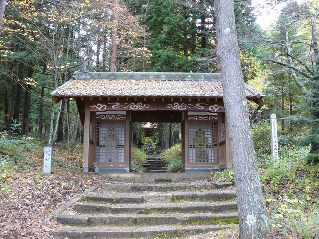 �R�`���F������