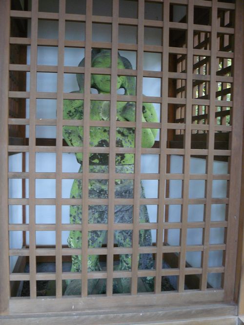 �R�`���F������