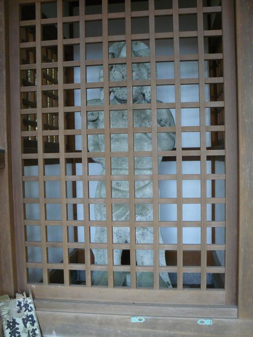 �R�`���F������