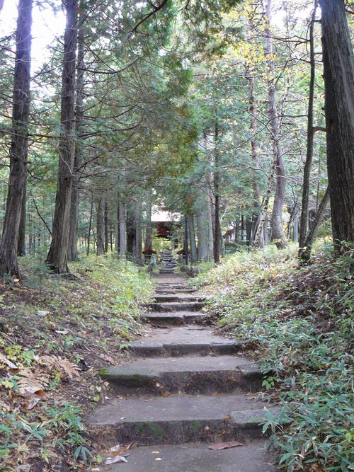 �R�`���F������