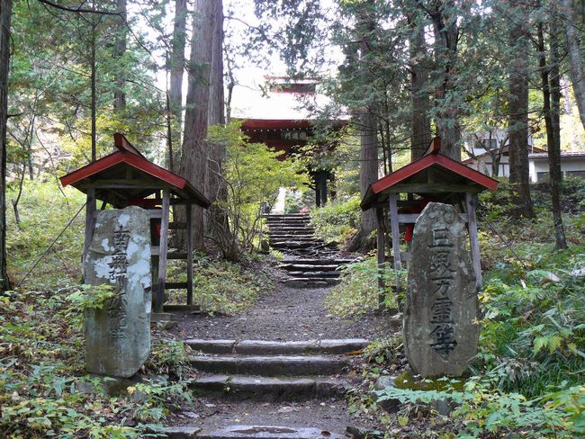 �R�`���F������