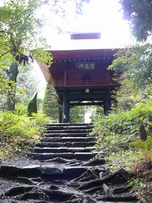 �R�`���F������