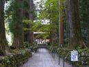 光前寺参道の石垣と巨木な杉の並木