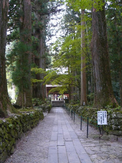 ����s�F���O��