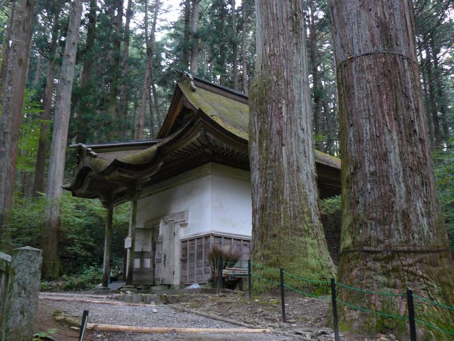 ����s�F���O��