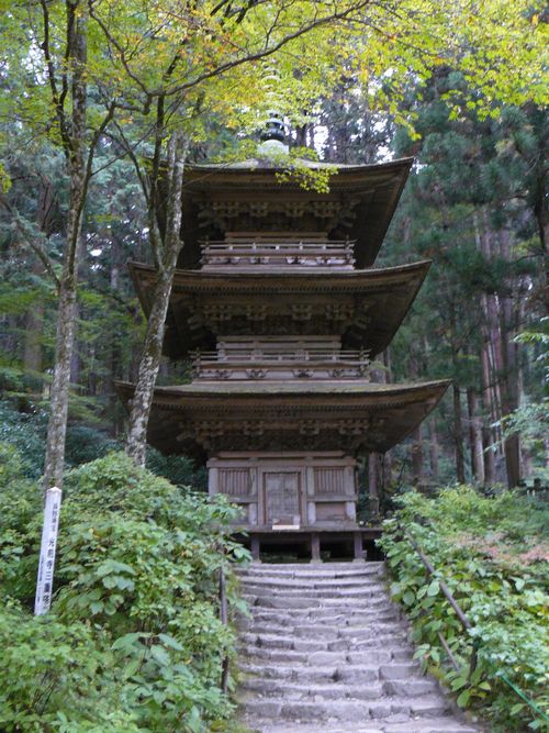 ����s�F���O��