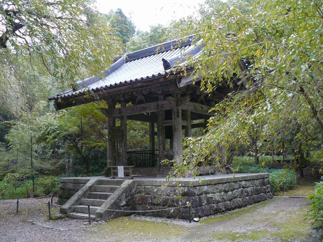 ����s�F���O��