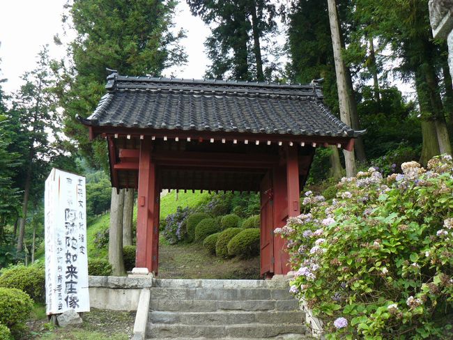 ���֒��F���ʎ�