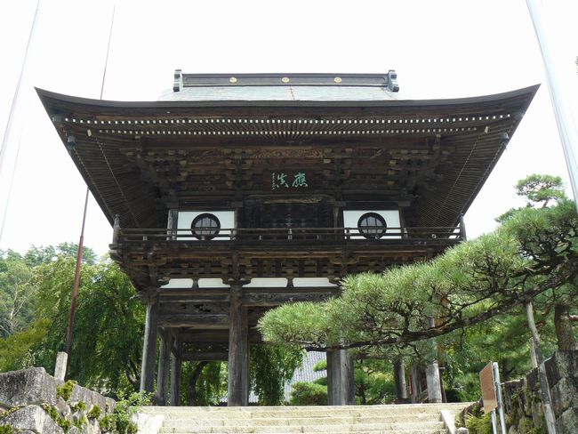 �L�����F�򗴉@