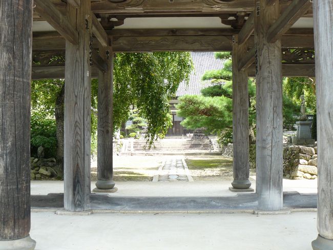 �L�����F�򗴉@