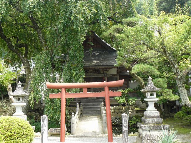 �L�����F�򗴉@