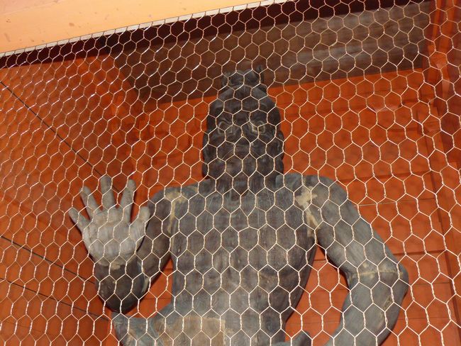 �g�c���F�c����