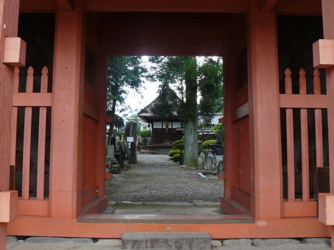 �g�c���F�c����