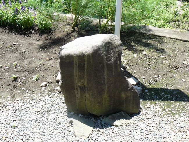 �����d����