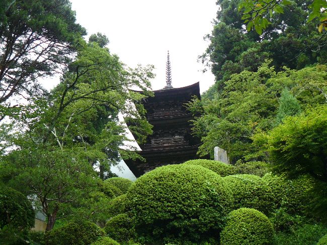 ��@���E�O�d���E���i