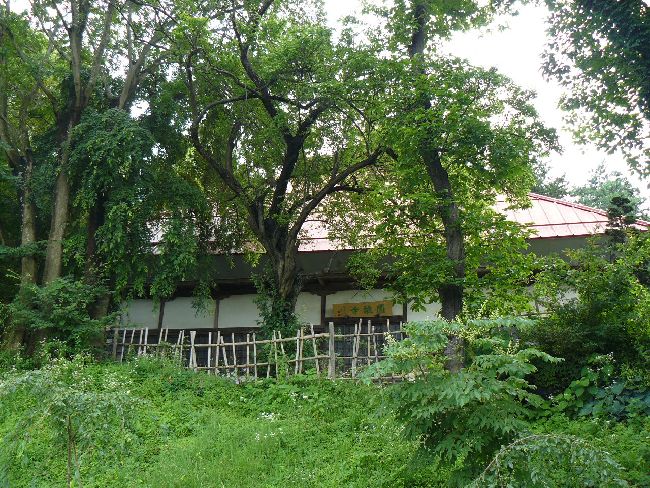 �����t��