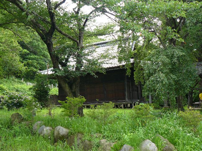 �����t��