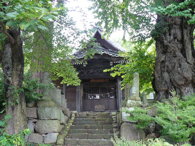 �����t��