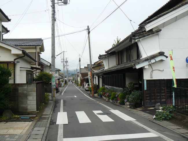 ��c�s�F���e��