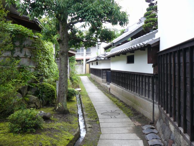 ���j�̎U����