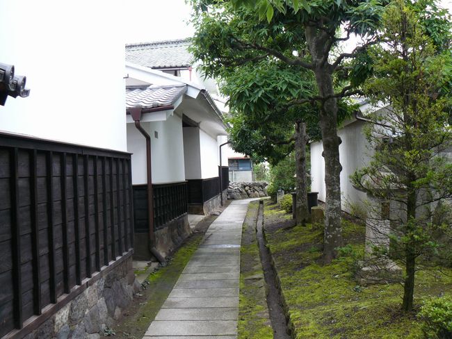 ���j�̎U����