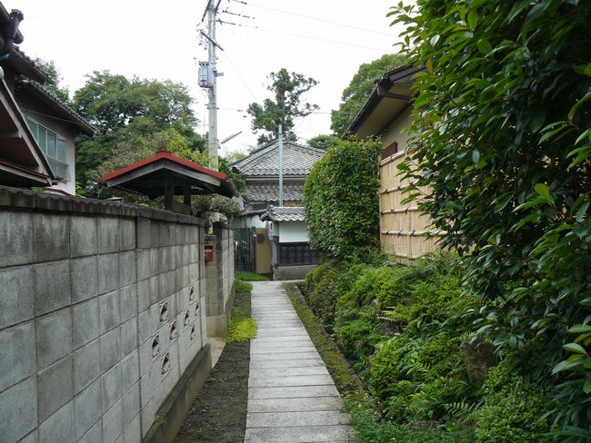 ���j�̎U����