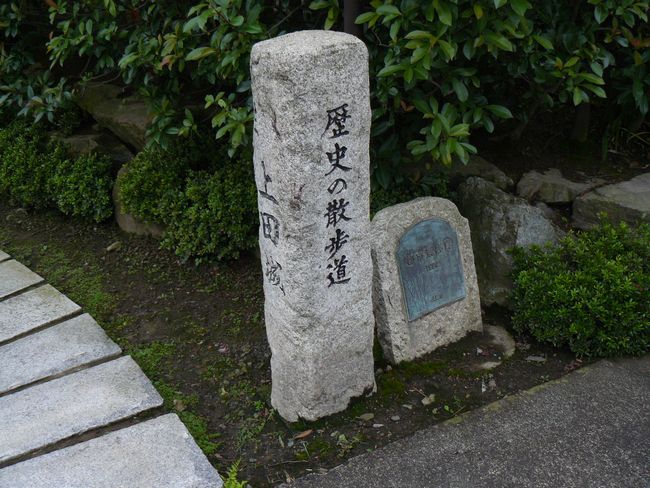 ���j�̎U����