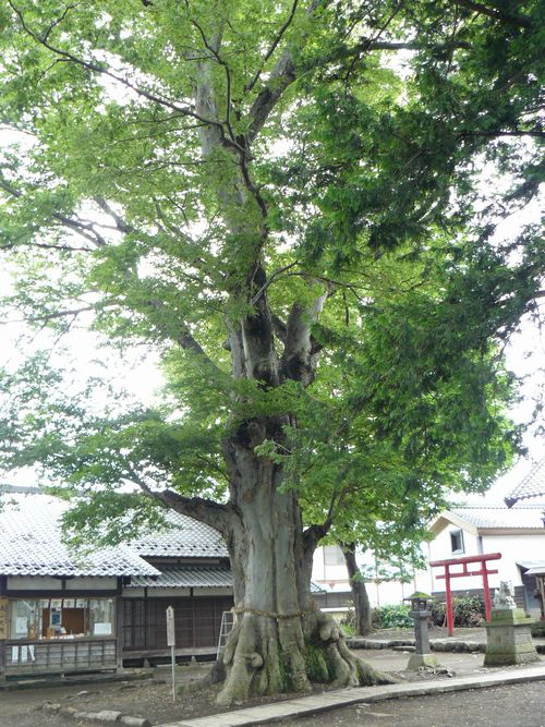 �����_�ЁE��_��